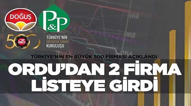 Ordu'dan devler ligine 2 firma girebildi