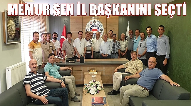 Ordu Memur Sen İl Başkanlığı için 2 aday yarıştı