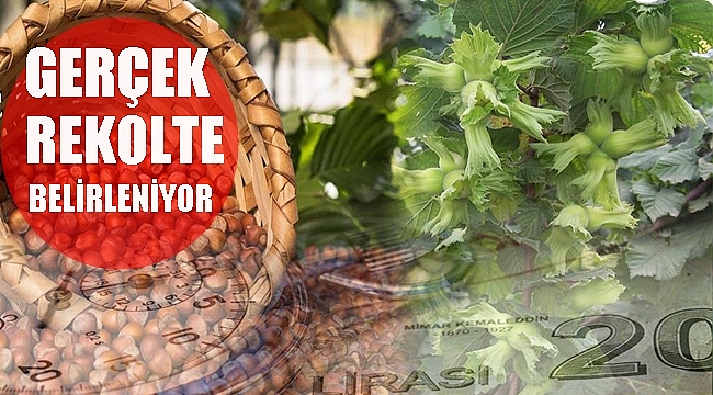 Rekolte için 12 kurum sahada