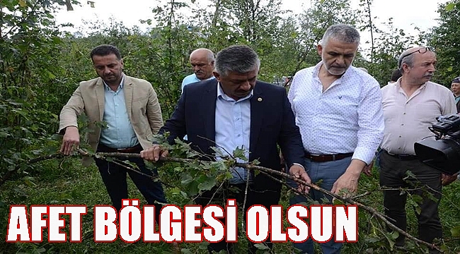 Ziraat Odaları Fındıkta Afetin Boyutunu İnceledi