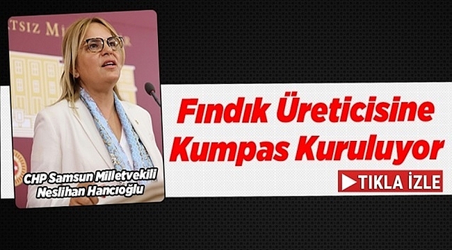 Hancıoğlu: Fındık üretici kimsenin oyuncağı değildir