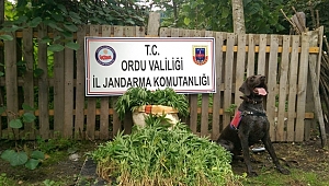 2 ayrı operasyon 3 kişi gözaltına alındı