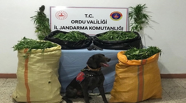 4 kişi gözaltına alındı