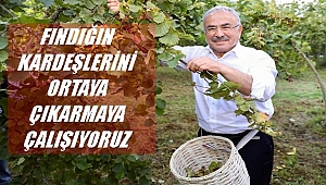 Başkan Güler: Fındığın değerini arttırmak kendi elimizde