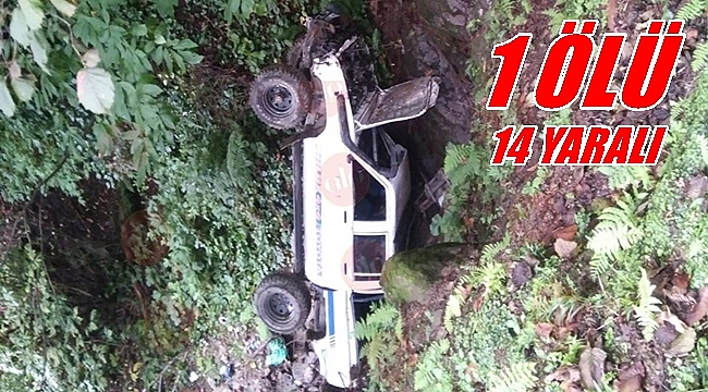 Fındık işçilerini taşıyan kamyonet kaza yaptı