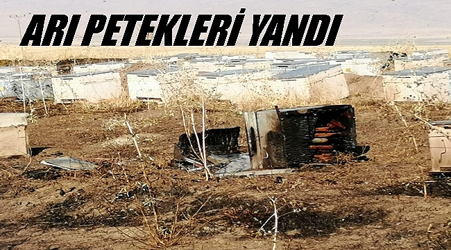 Ordulu Gezgin Arıcının Arıları Yangında Telef Oldu