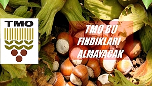 TMO'nun kapısından geri dönmemek için bu kriterlere uyunuz