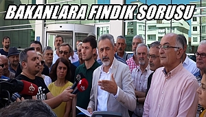 Adıgüzel  fındıkla ilgili soru önergesi verdi