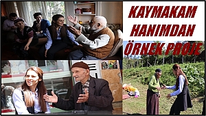 Kaymakam Hanım  'Asırlık Çınarlar' projesi başlattı