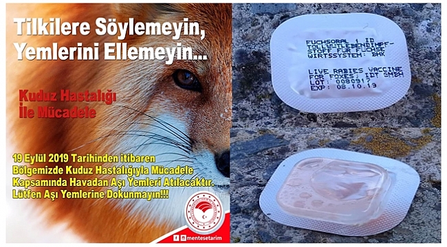 Ordu&#039;da tilkiler için atılan aşıları çobanlar topladı