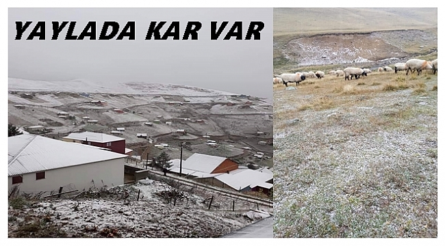 Ordu&#039;da yaylaya kar yağdı