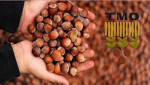 TMO fındık alımlarıyla ilgili açıklama yaptı