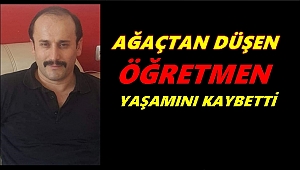 Ordu'da ağaçtan düşen öğretmen yaşamını kaybetti