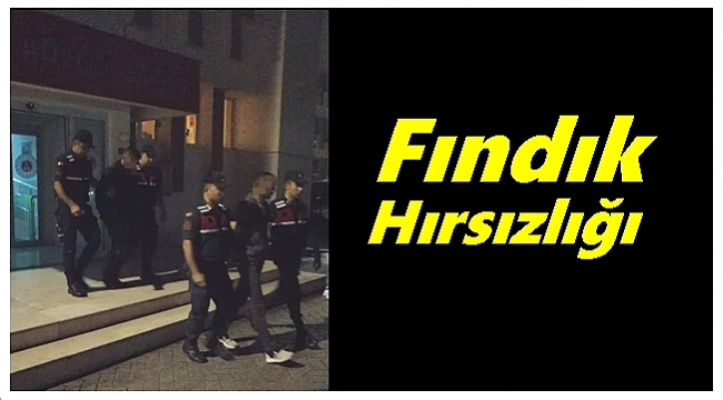 Ordu&#039;da 3 kişi tutuklandı