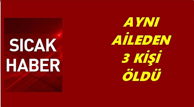 Ordulu aile kaza kurbanı: 3 ölü 2 yaralı