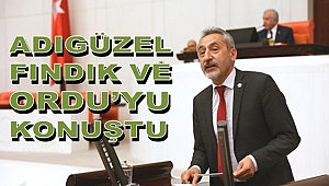 Adıgüzel: Bu Ferrero Karadeniz'de ot bile bitirmez