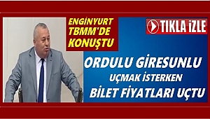 Enginyurt Ordu Giresun'u Meclis'e taşıdı