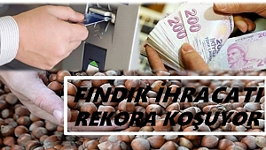 Fındık ülkeye döviz kazandırıyor