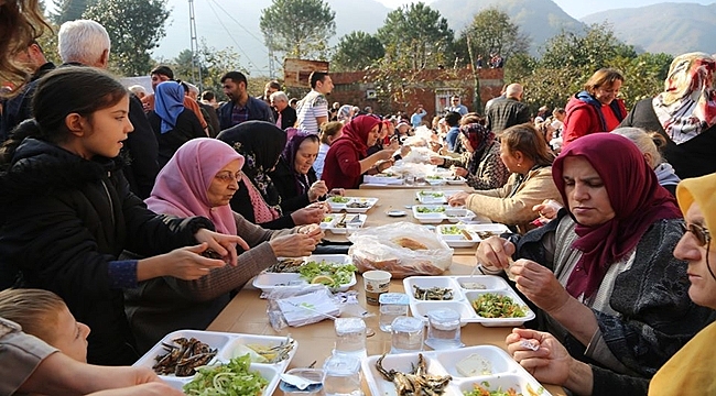 Gülyalı'da 1.5 ton hamsi yediler