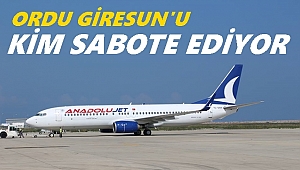 Milletvekili Tığlı Ordu Giresun'u sordu