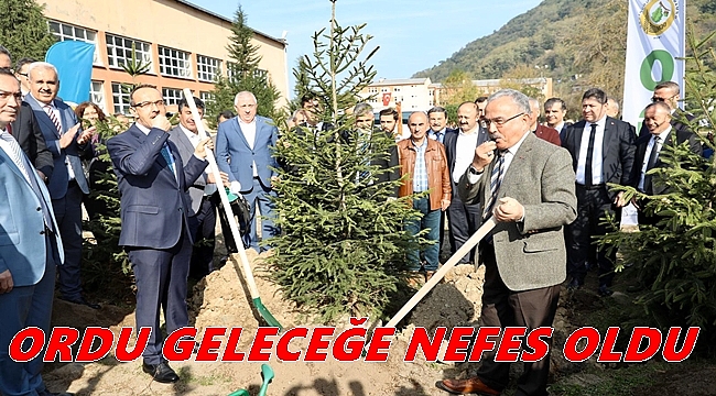 Ordu&#039;da fidanlar toprakla buluştu