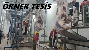 Ordu'da yeni mezbahane açılışa hazır