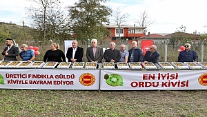 Ordu Kivisi Markadır