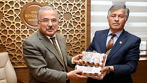 Ordu organik yumurtanın merkezi olacak