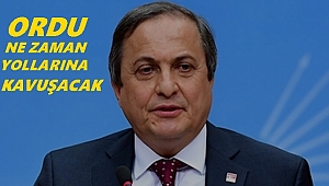 Torun Ordu'nun bitmeyen yollarını sordu