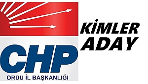 CHP'de İlçe Kongreleri Başlıyor