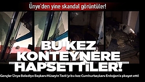 Hayvan severlerden Ünye Belediyesi'ne sert tepki
