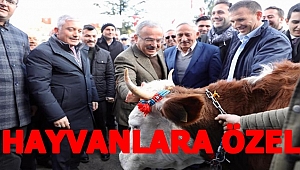 Mesudiye Hayvan Üssü Olacak