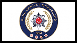 Ordu'da 10 kişi yakalandı