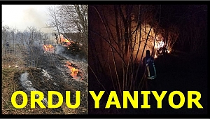 Ordu'da 11 İlçede 22 noktada yangın çıktı