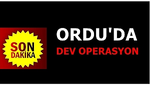 Ordu'da 20 kişi gözaltına alındı