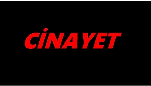 Ordu'da cinayet ; 1 ölü 1 yaralı