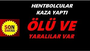 Ordulu sporcuları taşıyan minibüs kaza yaptı