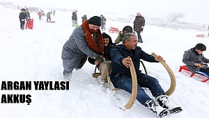 Akkuş Argan Yaylası Kar Festivali renkli görüntülere sahne oldu