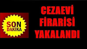 Cezaevi firarisini jandarma yakaladı