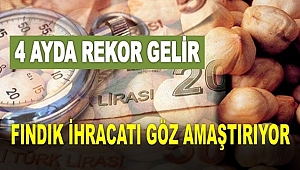 Fındık ihracatı 4 ayda 1 milyar doları aştı