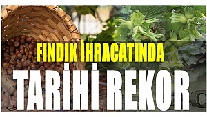 Fındık para basıyor