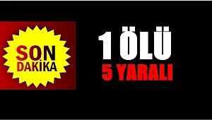Ordu'da 2 otomobil çarpıştı;1 ölü 5 yaralı