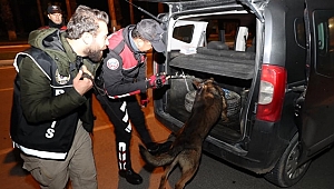 Ordu'da aranan 59 kişi yakalandı 11 kişi tutuklandı