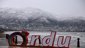 Ordu'da kar yağışı etkili oluyor