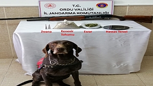 Ordu'da uyuşturucu operasyonu 1 kişi gözaltına alındı