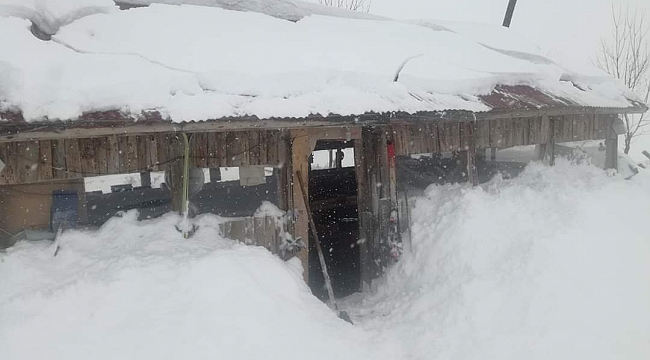 Ordu Valiliği açıkladı: 175 mahalle yolu kapandı