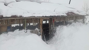 Ordu Valiliği açıkladı: 175 mahalle yolu kapandı