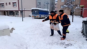 Akkuş Belediyesi sokak hayvanlarını unutmadı
