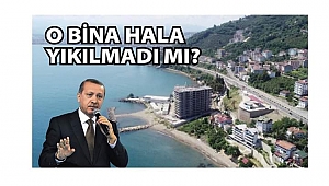 Erdoğan: Bana günübirlik Ordu yaptıracaksınız