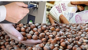 Fındık ihracatı da elde edilen döviz de arttı